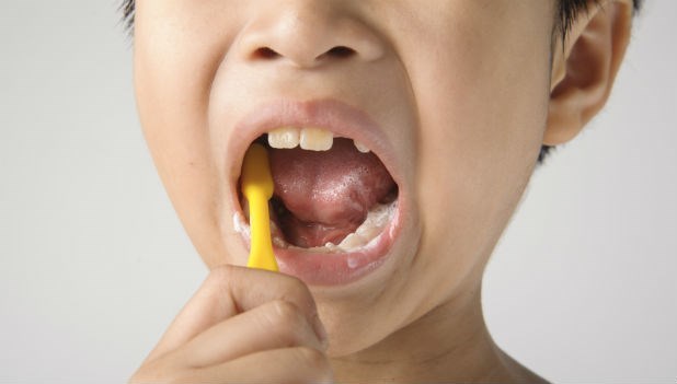 吃完早餐才刷牙，小心細菌吞下肚！40年資歷牙科醫師教你：最新口腔護理保健術